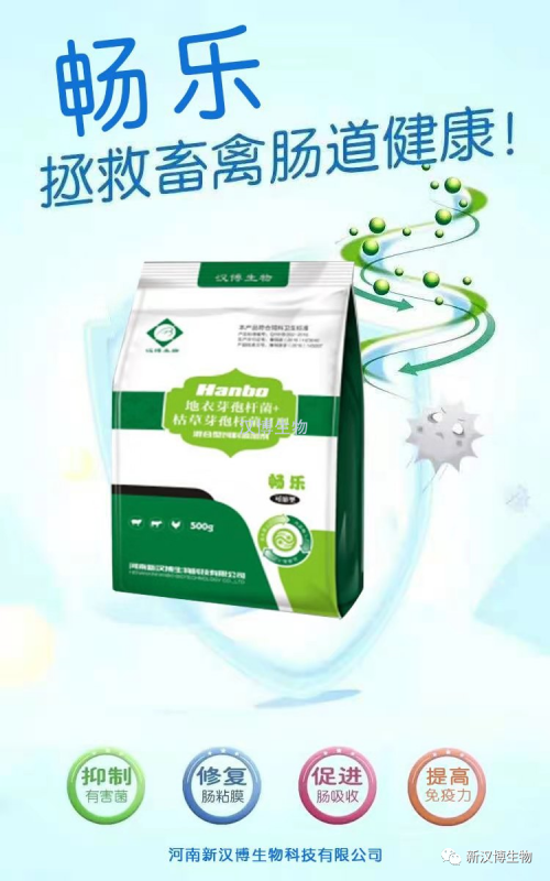 飼料禁抗后，斷奶仔豬腹瀉問題將更為嚴重，養(yǎng)豬人如何應(yīng)對